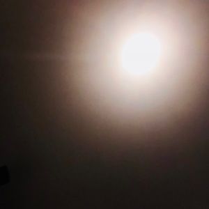 Meet your Posher, Melina